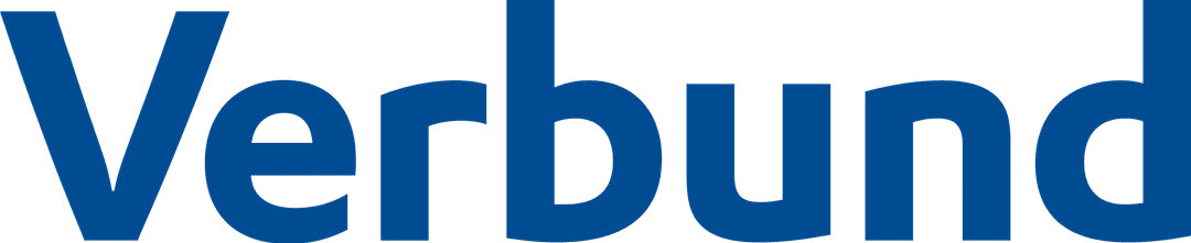 Company Name